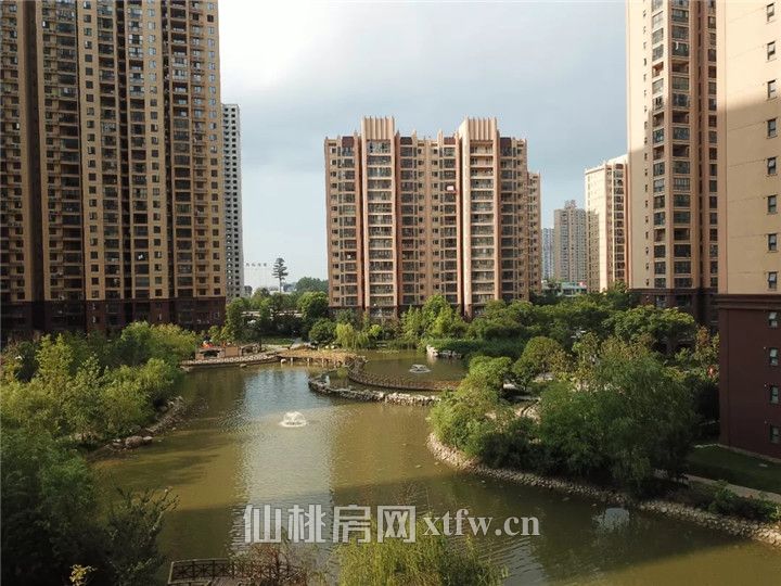 640 (1).webp (6).jpg