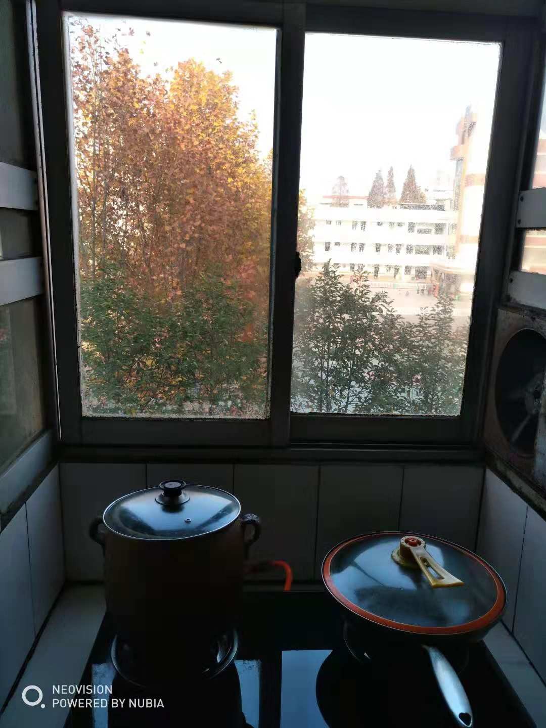 大新路 旁厅室房出租出售