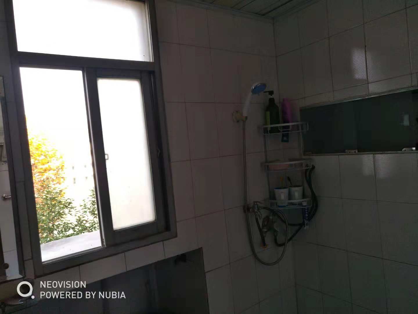 大新路 旁厅室房出租出售