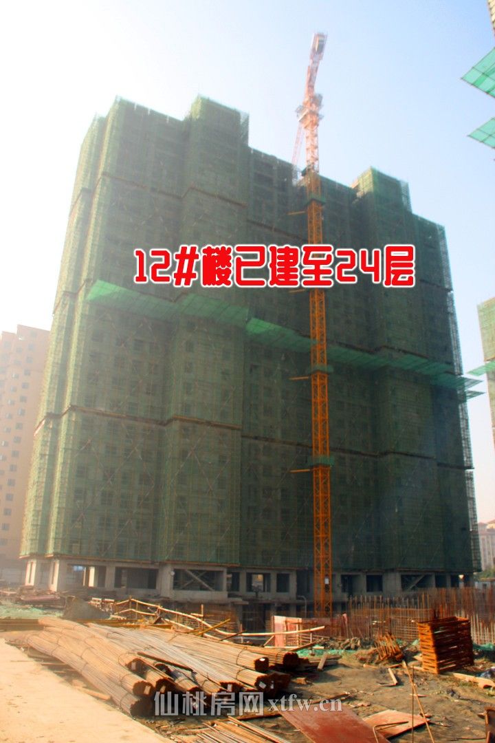 12#24层.jpg