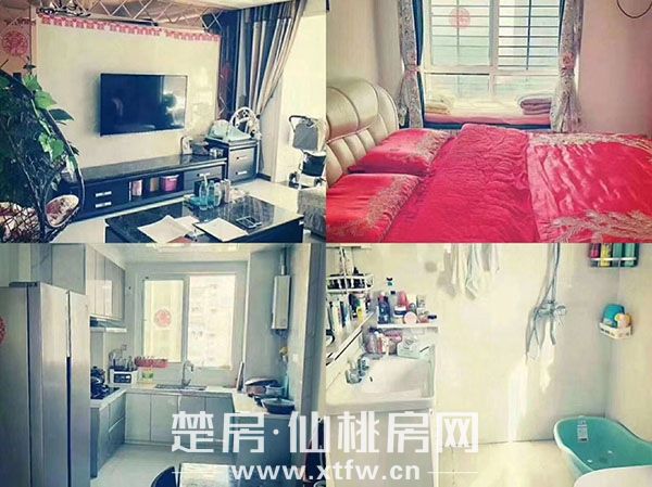 2018120617121882649phml9k.jpg 87.jpg