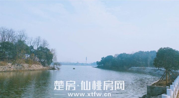 2018121514294077028fldymk.jpg 图片1.jpg