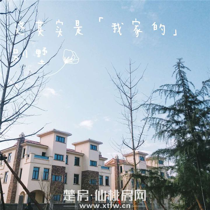 2018121514295848022o8hgnd.jpg 图片2.jpg