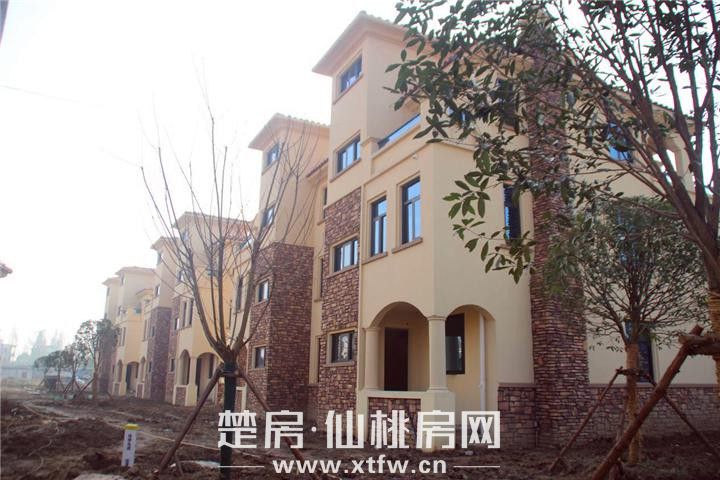 20181215143045962933luj9n.jpg 图片4.jpg