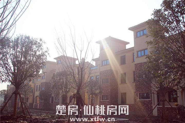 2018121514305531893rinivk.jpg 图片5.jpg