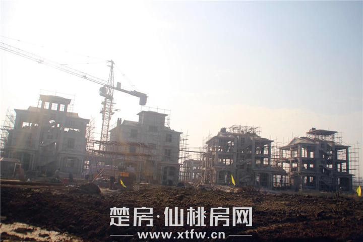 2018121514312774465xttxj4.jpg 图片7.jpg