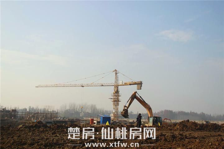 2018121514313369923pdptia.jpg 图片8.jpg