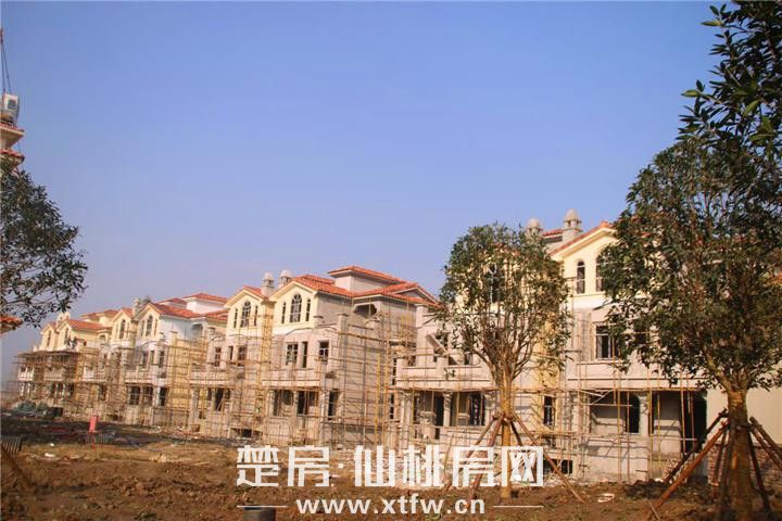 2018121514315067870eagtzw.jpg 图片9.jpg