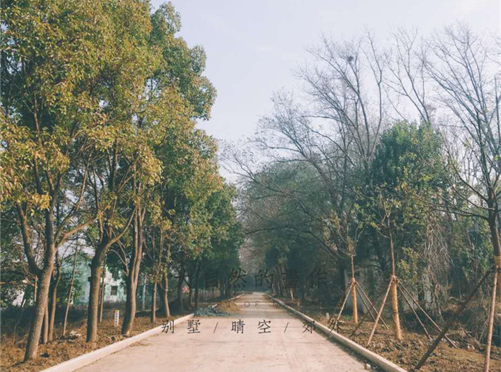 太子湖国际社区|任尔寒冬来袭 家自温暖如春