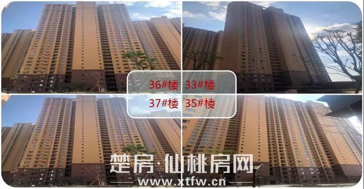 2018121710193856899lmfbra.jpg 微信图片_20181217101052.jpg