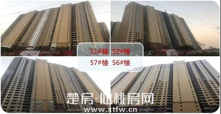 2018121710201239292rczxxj.jpg 微信图片_20181217101059.jpg