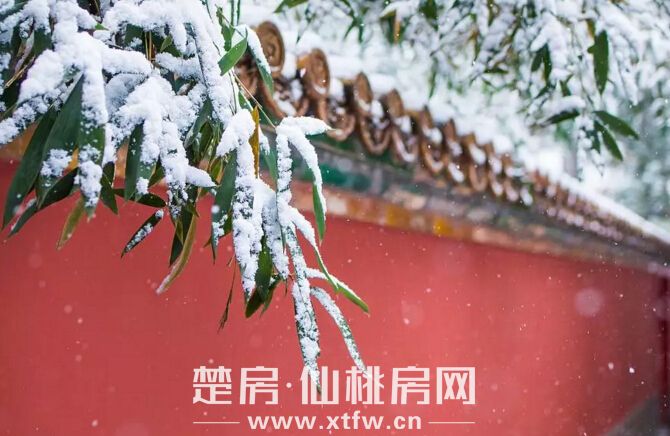 下雪天，有一种忧伤叫没有地下停车位……