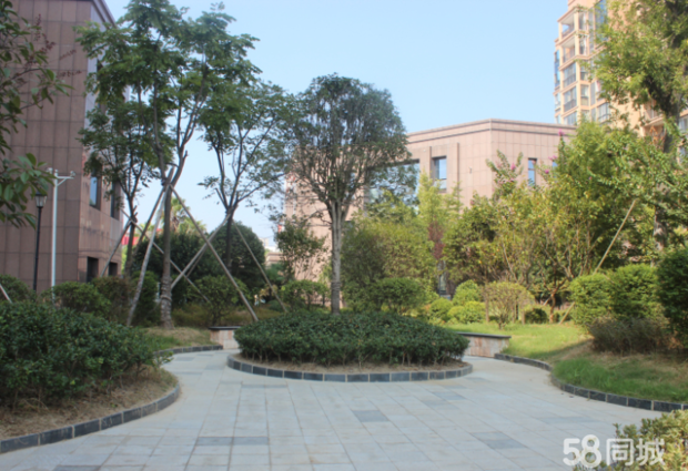 城西江滩公园旁团购4598元先到先得所剩房源不多