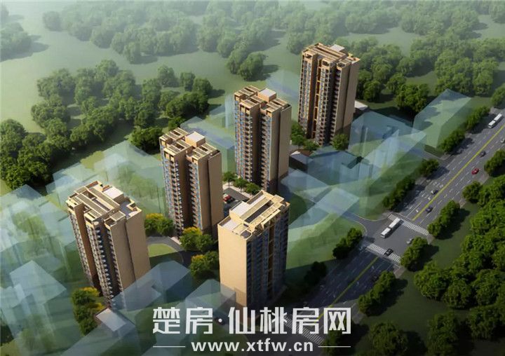 2019021512174947358cclcde.jpg 11.webp.jpg