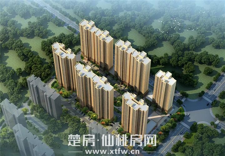 2019021512231554691cloxno.jpg 18.webp.jpg