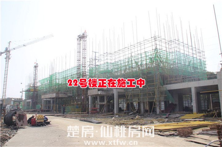 2019031116582183869jwotnu.jpg 图片3.jpg