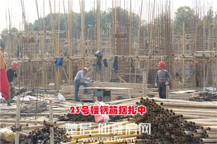 2019031116583240389pgfvxk.jpg 图片4.jpg