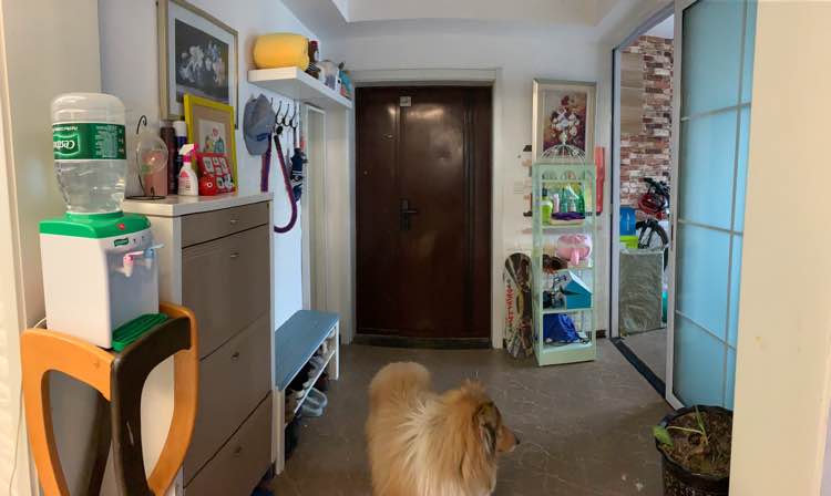 拎包入住精装修完善小区南北通透