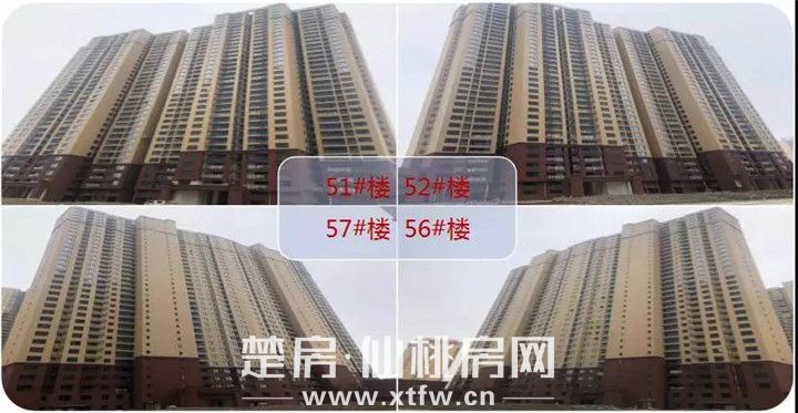 2019031915475448022g9vhjv.jpg 微信图片_20190319151044.jpg