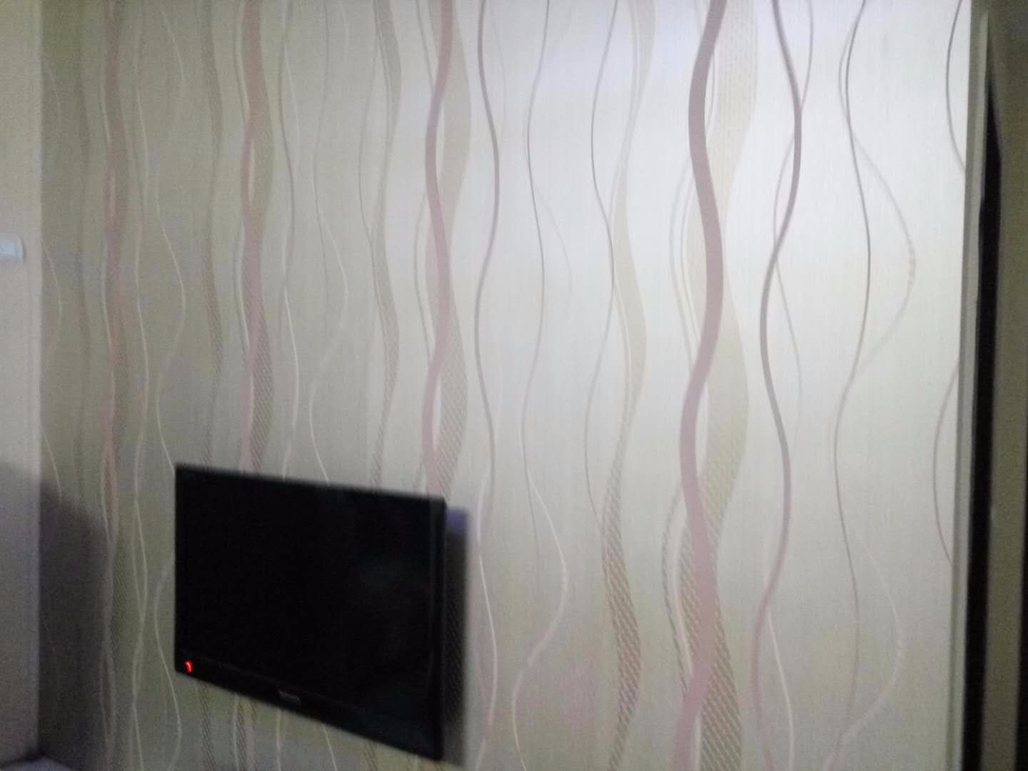 时代广场精装公寓出租