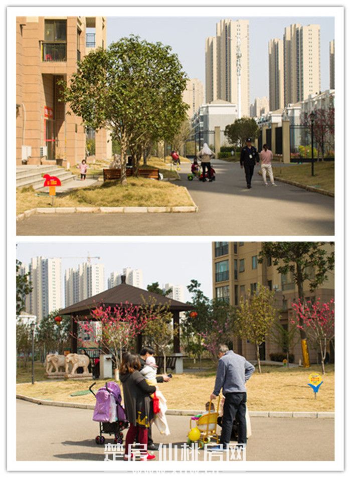 南国明珠3月工程进度|层楼高筑 启风华！