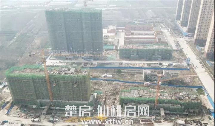 2019032709393932448386dst.jpg 微信图片_20190327093308.jpg