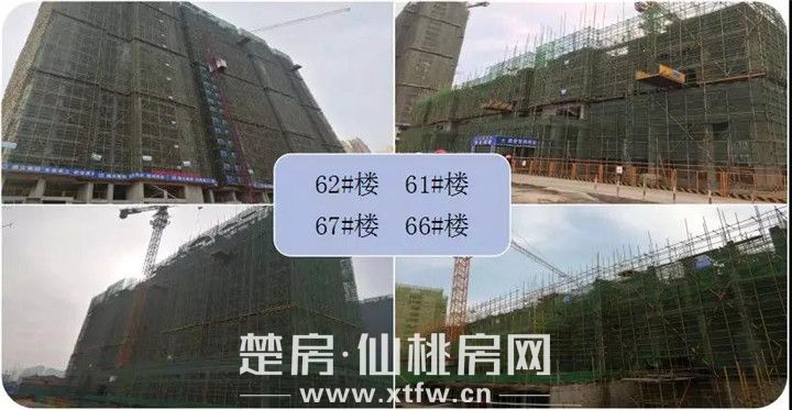 2019032709395612137ctwpik.jpg 微信图片_20190327093334.jpg