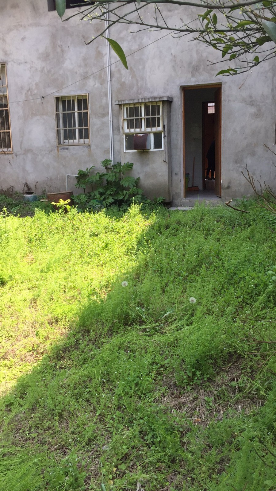   沔城玉带河边官梁桥旁修闲养老好住处