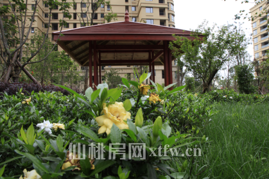 一梯一户的245㎡平层 均价6300买到就是 到