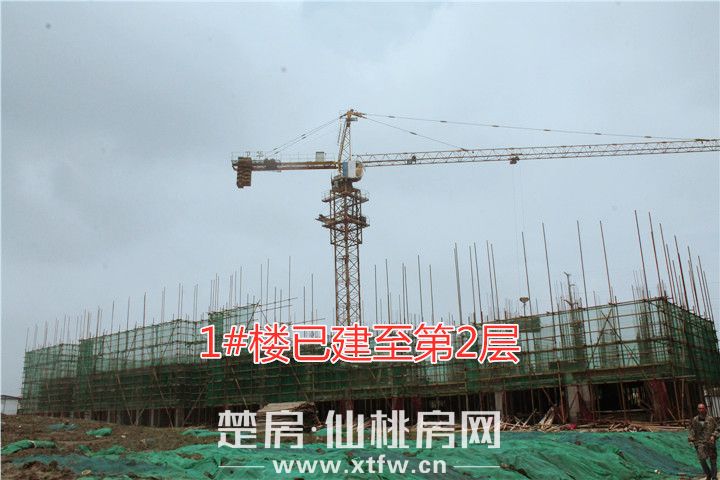 善德华府5月家书 | 建筑之美，城市之魂