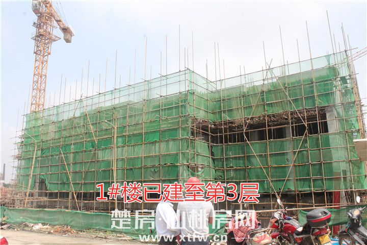 世纪阳光城|五月家书至 品质生活亦可期