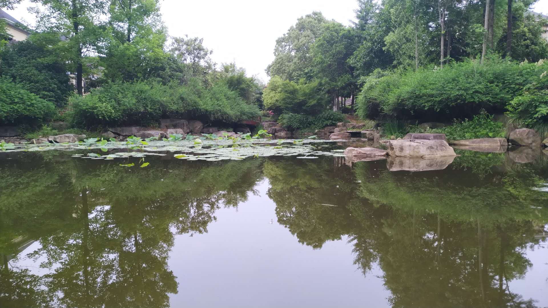 绿地华庭别墅市场稀有别墅诚心出售懂抓机会的来私人花园