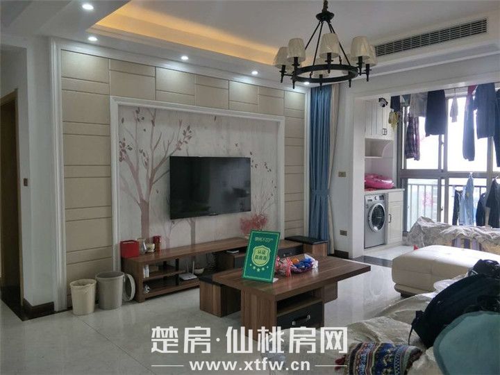 2019052115254583946mf2cbf.jpg 图片16.jpg