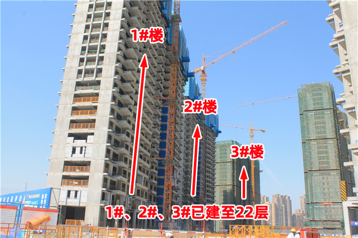 实探御湖世家|一砖一瓦雕琢幸福品质家境