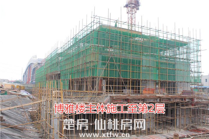 鸣森·学府名都|盛夏初始，家书如约而至