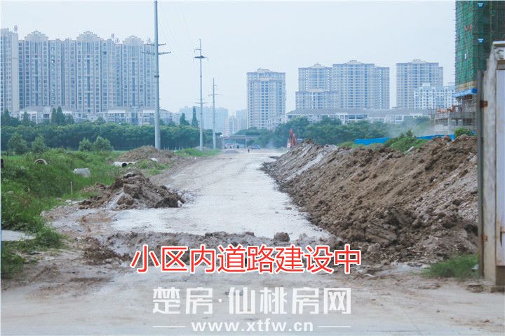 蓝天修路.jpg