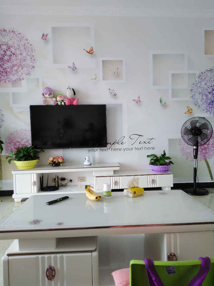 东鑫商业街，精装房子，拎包入住