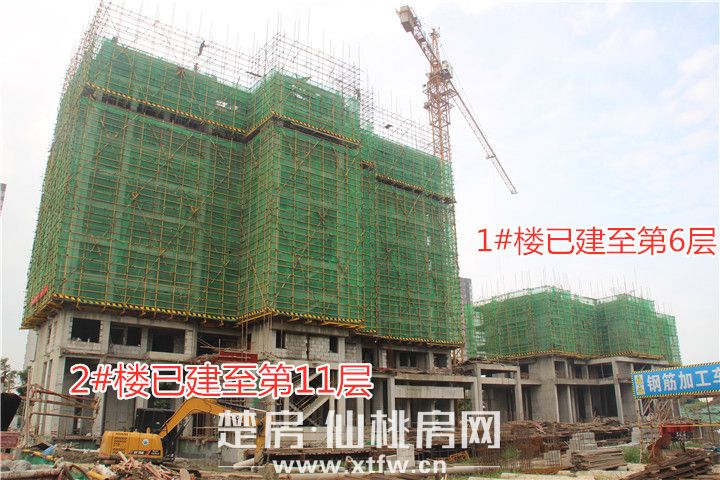 世纪阳光城 | 仲夏正好 美好如期