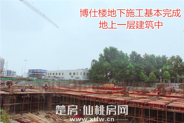 鸣森·学府名都丨仲夏好时光 家书鉴美好