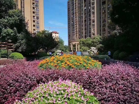 锦绣江山，就读仙桃 ，花园洋房楼层可选,三成 付