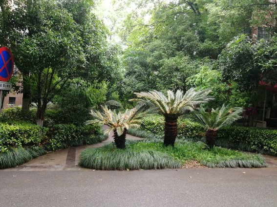 城西绿地华庭电梯小洋房空气盛好择优为邻李小双运动城旁