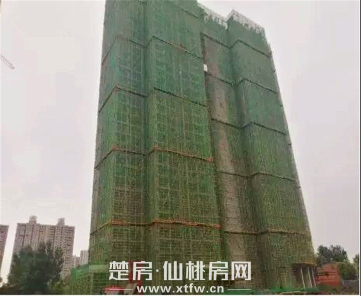 2019071509272258649yiify7.jpg 微信图片_20190715092229.jpg