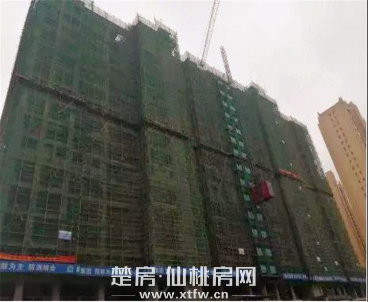 2019071509301952945qkktyj.jpg 微信图片_20190715092217.jpg