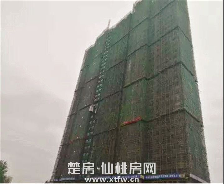 2019071509302990077cpfkww.jpg 微信图片_20190715092221.jpg