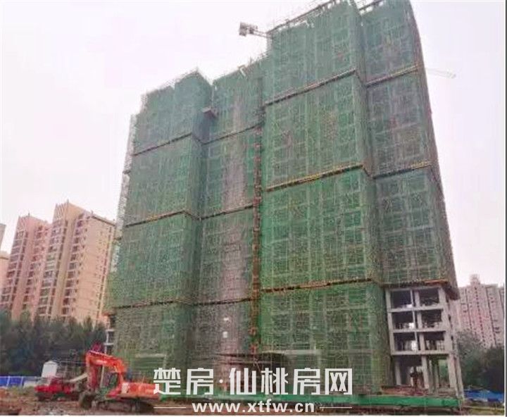 2019071509303836667nplu1t.jpg 微信图片_20190715092225.jpg