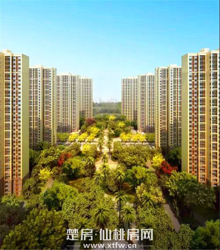 2019071509314537318tonm1o.jpg 微信图片_20190715092236.jpg