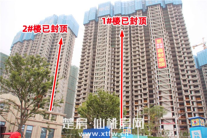 2019071916435735214vuugze.jpg 2-1.jpg