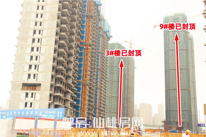 2019071916472786579b5ugr2.jpg 3-9.jpg