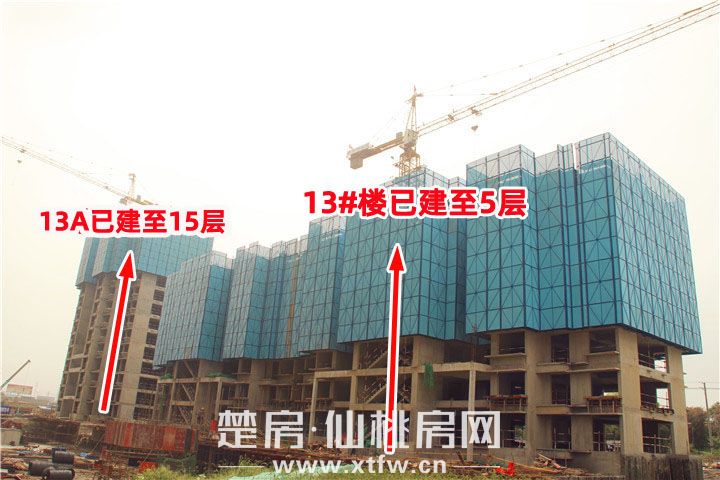 2019071917404928526i8nfbj.jpg 13A-13.jpg