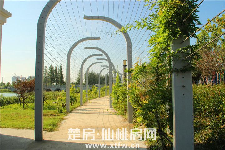 见证幸福“家”速度 蓝天新城七月工程进度播报！